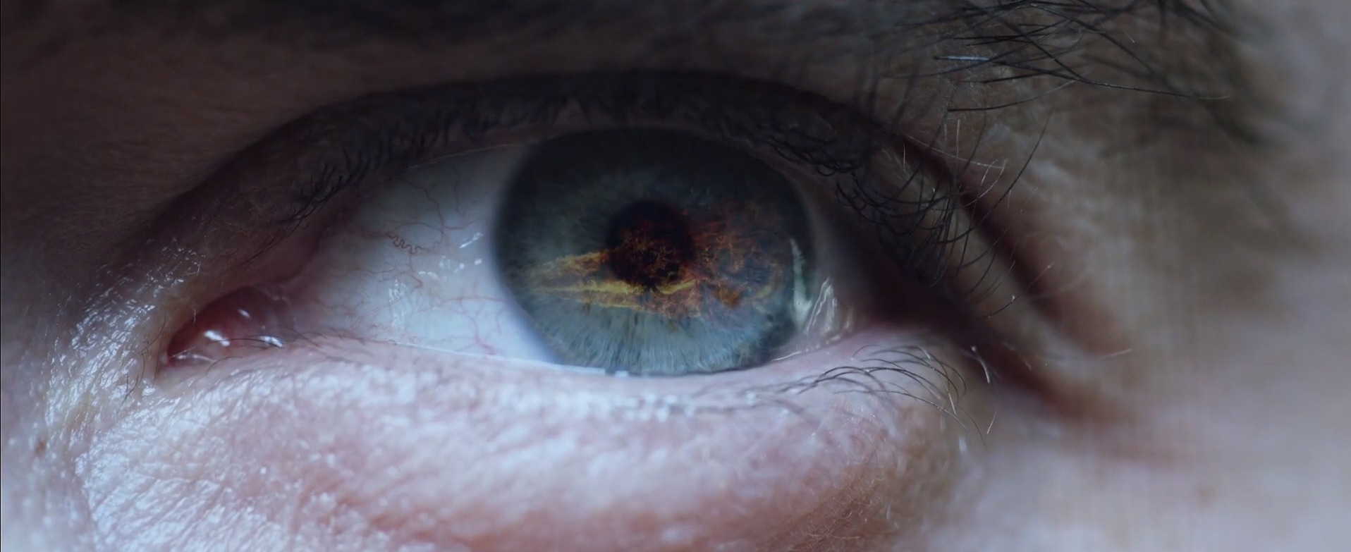 eyes close-up indoor organ iris blood vessel